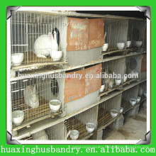 automatic multilevel corrosion resistant rabbit coop